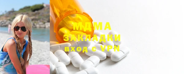 spice Инта