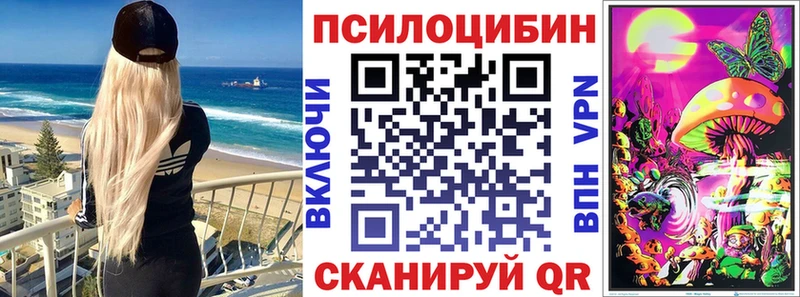 блэк спрут   Медынь  Галлюциногенные грибы Psilocybe 